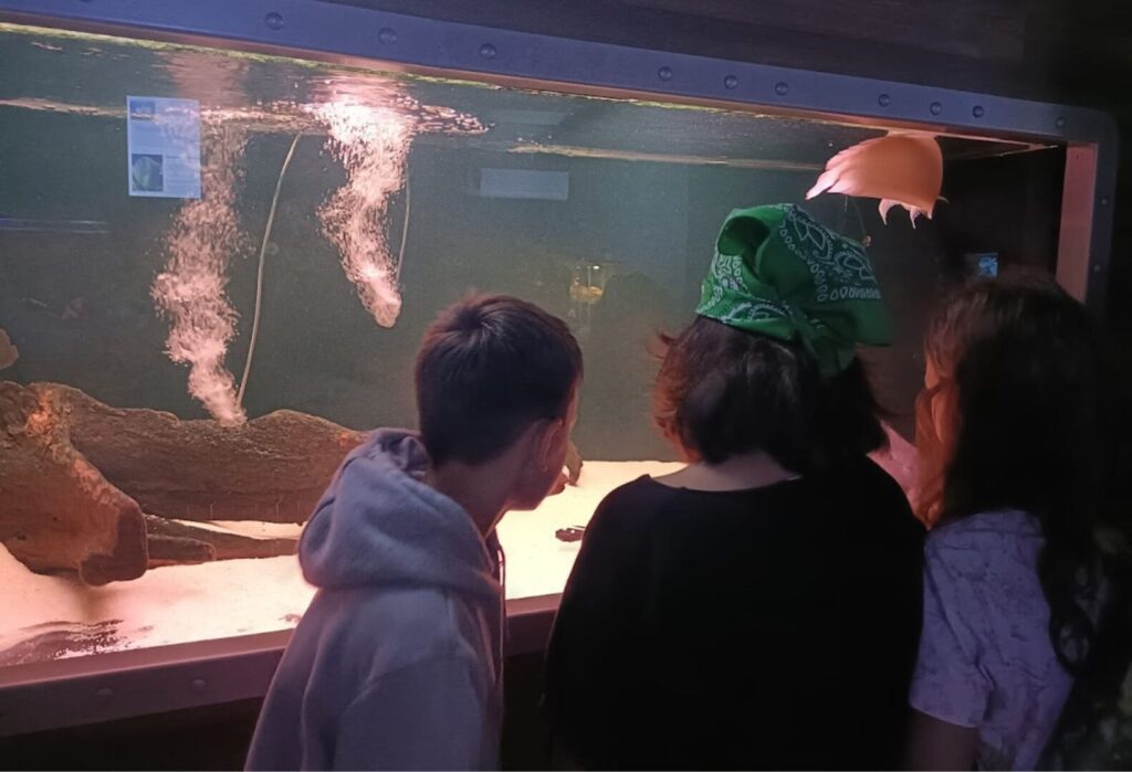 Troje dzieci obserwuje dużą szybę akwarium z pływającymi wodnymi zwierzętami, w tym skrzypłoczem.