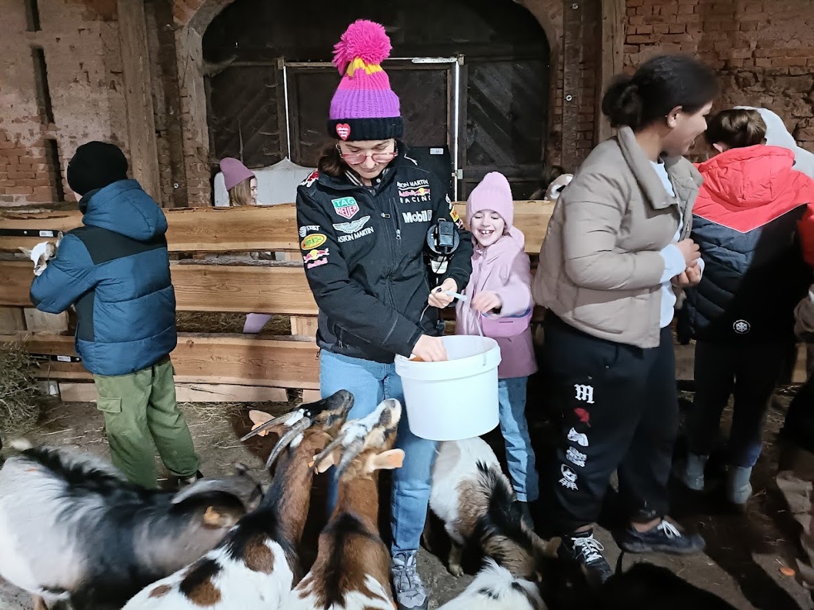 Uczestnicy kolonii karmią kozy w zagrodzie edukacyjnej podczas zimowego wyjazdu do Polanicy-Zdroju.